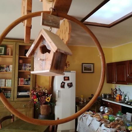 Le Storie Di Bambu Guest House Terni Exterior foto