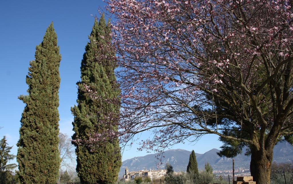 Le Storie Di Bambu Guest House Terni Exterior foto