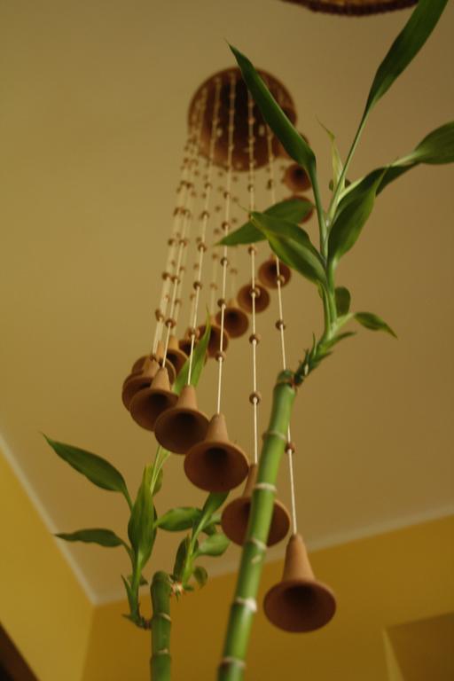 Le Storie Di Bambu Guest House Terni Exterior foto