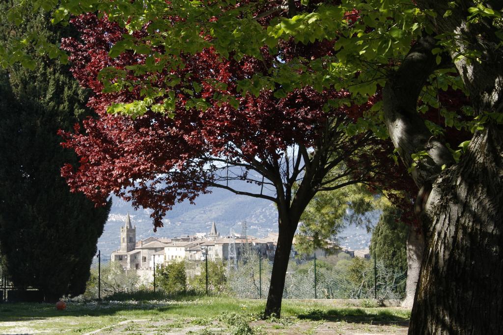 Le Storie Di Bambu Guest House Terni Exterior foto